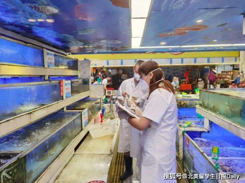 北京因疫情多地進(jìn)入戰(zhàn)時(shí)狀態(tài) 專家 這輪病毒或來(lái)自歐洲