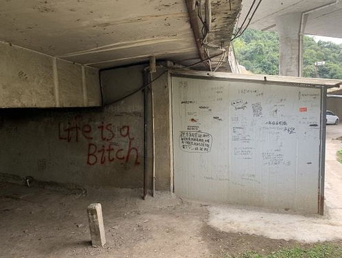 六年二班貴陽(yáng)板房成“留言墻” 初戀記憶與辣眼睛內(nèi)容的碰撞