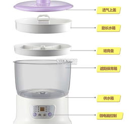 北京小熊DYJ-S6108豆芽機批發代理廠家、產品信息與技術開發全解析