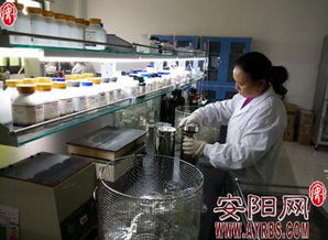 河南金百合 以微觀世界探秘驅(qū)動(dòng)生物科技創(chuàng)新，開(kāi)拓市場(chǎng)營(yíng)銷新藍(lán)海